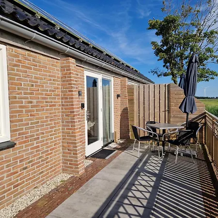 Rand Wieringen Ibiza En Afrika *