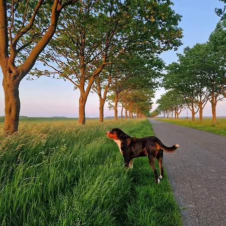 Rand Wieringen Ibiza En Afrika Apartmán Slootdorp