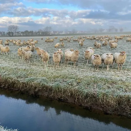 Apartmán Rand Wieringen Ibiza En Afrika