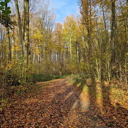 Rand Wieringen Ibiza En Afrika