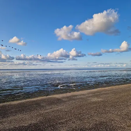 Rand Wieringen Ibiza En Afrika *