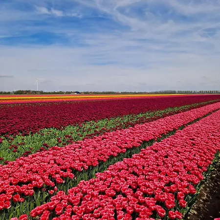 Apartmán Rand Wieringen Ibiza En Afrika Slootdorp