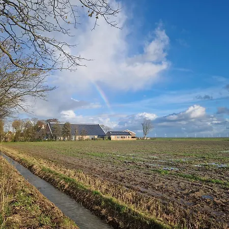 Rand Wieringen Ibiza En Afrika *