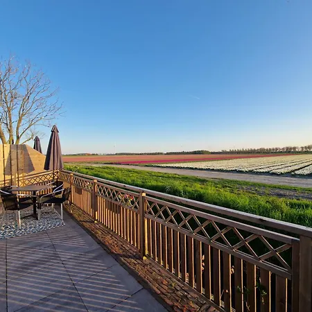 Rand Wieringen Ibiza En Afrika * Slootdorp