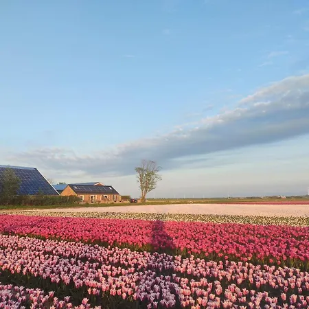 Apartmán Rand Wieringen Ibiza En Afrika Slootdorp