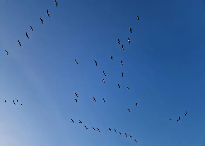Rand Wieringen Ibiza En Afrika Apartman