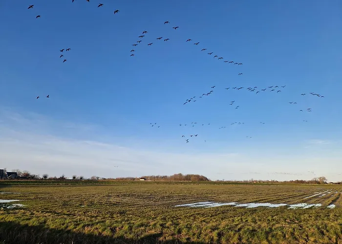 Rand Wieringen Ibiza En Afrika *
