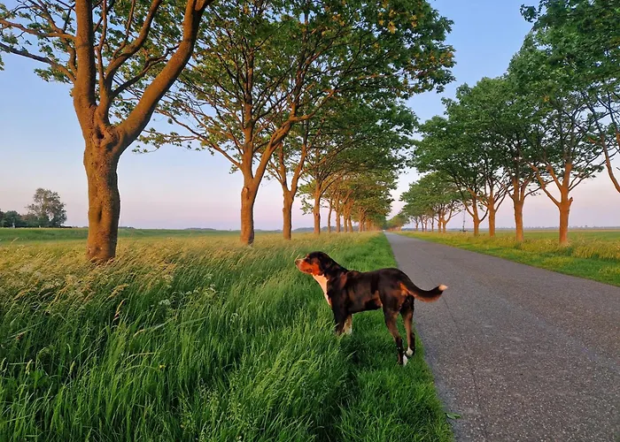 Rand Wieringen Ibiza En Afrika Apartman Slootdorp