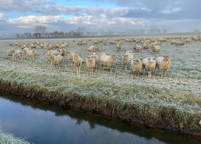 Apartman Rand Wieringen Ibiza En Afrika