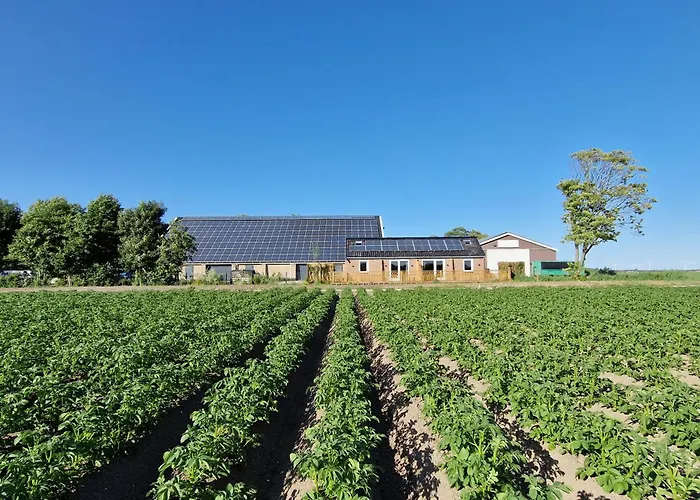 Rand Wieringen Ibiza En Afrika Slootdorp