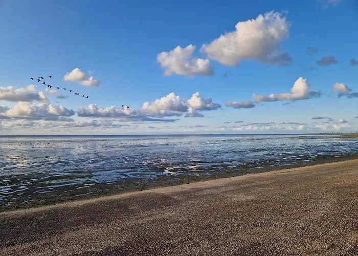 Rand Wieringen Ibiza En Afrika *