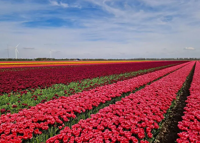 Apartman Rand Wieringen Ibiza En Afrika Slootdorp