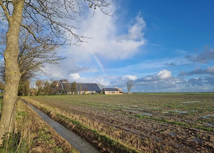 Rand Wieringen Ibiza En Afrika *