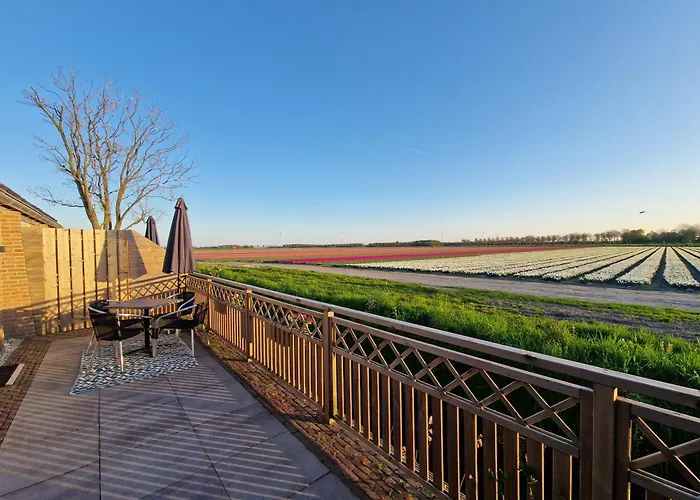 Rand Wieringen Ibiza En Afrika * Slootdorp