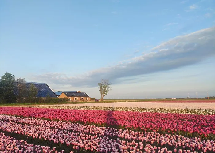 Apartman Rand Wieringen Ibiza En Afrika Slootdorp
