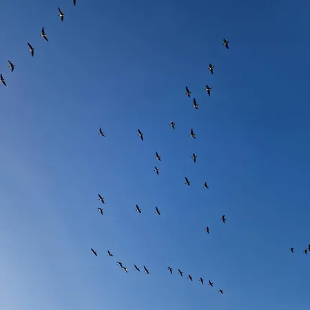 Rand Wieringen Ibiza En Afrika Appartement