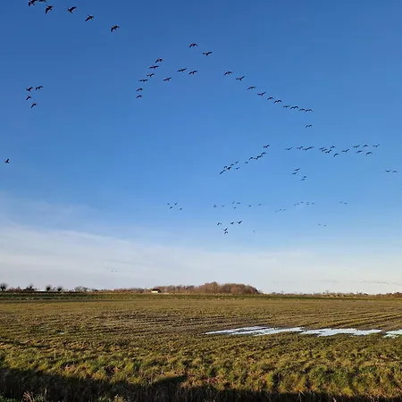 Rand Wieringen Ibiza En Afrika *