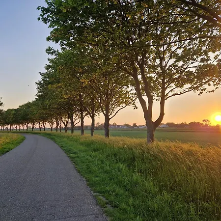 Rand Wieringen Ibiza En Afrika Slootdorp