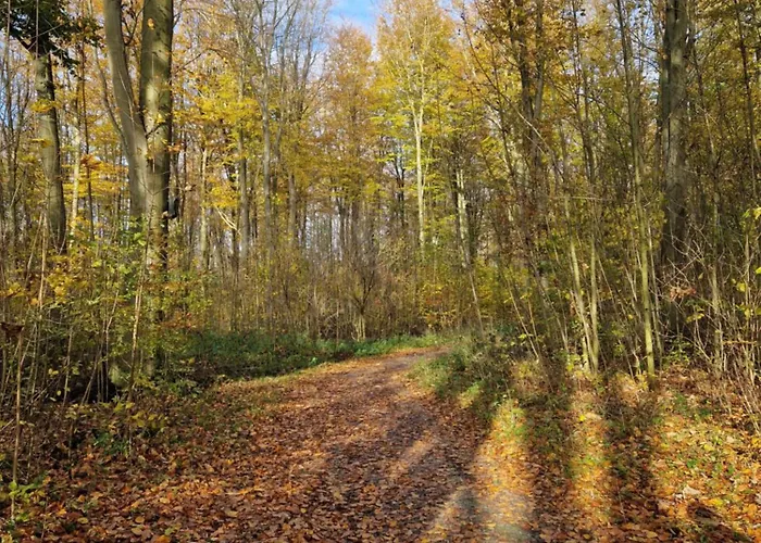 Rand Wieringen Ibiza En Afrika