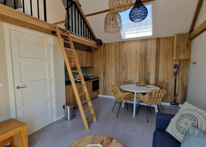 Rand Wieringen Ibiza En Afrika